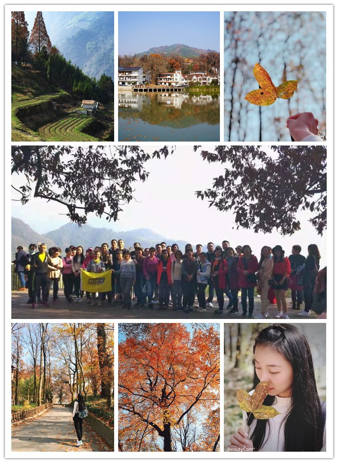 人生就是博电子买卖市场组织“指南村赏秋”活动